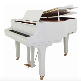 Дисклавир Yamaha DC5X ENPRO PWH